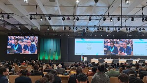 ++ Cop29 approva il mercato internazionale del carbonio ++ (ANSA)