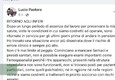 Isernia, incubo pronto soccorso: la denuncia del primario (ANSA)