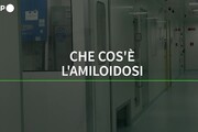 Cos'e' l'amiloidosi