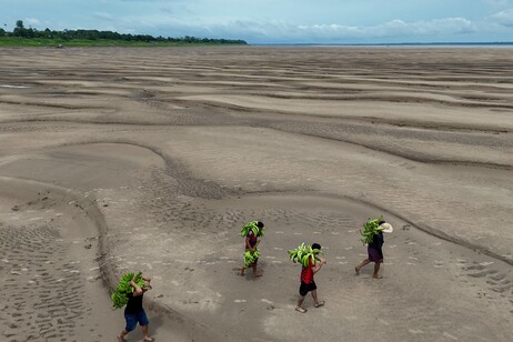 Hombres cargan productos bananeros sobre el lecho seco del río Solimoes