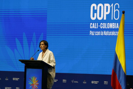 Apertura de la COP16 en Cali, Colombia