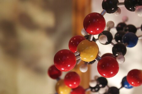 Particolare del modello del Dna nel museo di Storia naturale di Oxford (fonte: Charles Clegg ds Flickr CC BY-SA 2.0)