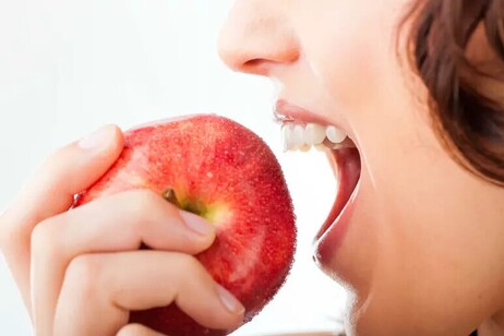 Comer depende solo de tres tipos de neuronas.