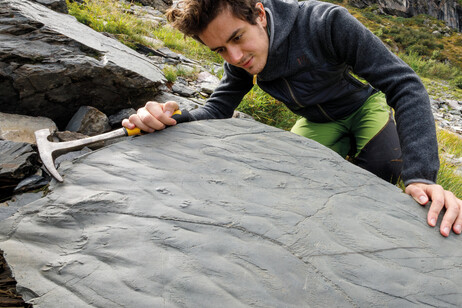 Especialista realiza análise em pegadas pré-históricas encontradas na Valtellina