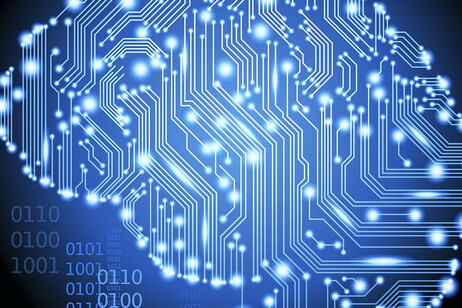 Neuroscienze e intelligenza artificiale si alleano per studiare il cervello (fonte: GoodFon)