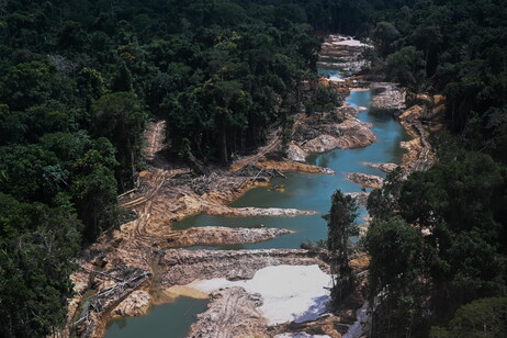 Área desmatada por garimpo ilegal na Amazônia brasileira