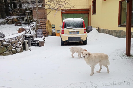 Neve sul Gennargentu