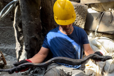 La gran serpiente recuperada del barro en San Casciano dei Bagni.