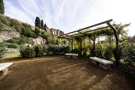 Aurum coronarium é o novo espaço verde do Parque do Coliseu, em Roma