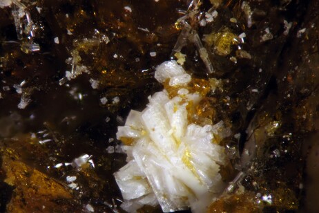 Batoniite, aggregato di cristalli tabulari bianchi associati a un solfato di alluminio e ferro resinoso (fonte: Collezione Museo di Storia Naturale, Università di Pisa. Foto D. Mauro)