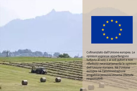 L'Olanda compensa gli agricoltori con 700 milioni, sì dell'Ue