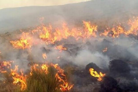 Fogo causa catástrofe também no Peru