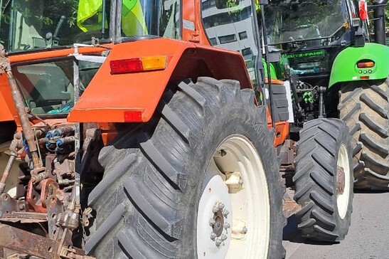 L'Ue propone aiuti da 37,4 milioni per gli agricoltori italiani