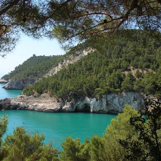 Puglia: Gargano