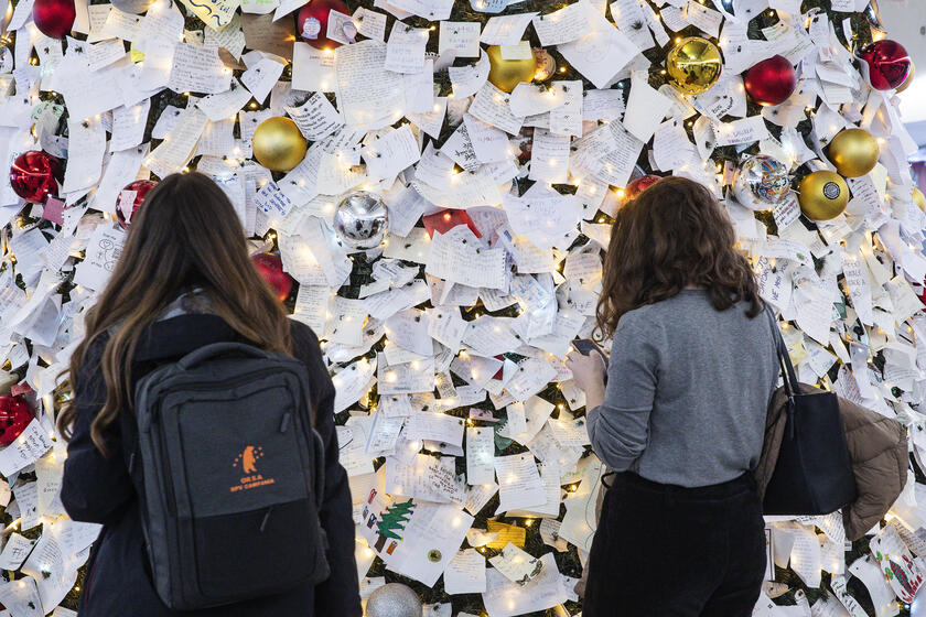 Biglietti affissi all'albero di Natale della stazione Termini a Roma