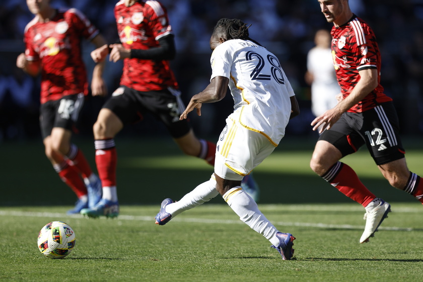 MLS Cup Final - LA Galaxy vs. New York Red Bulls 