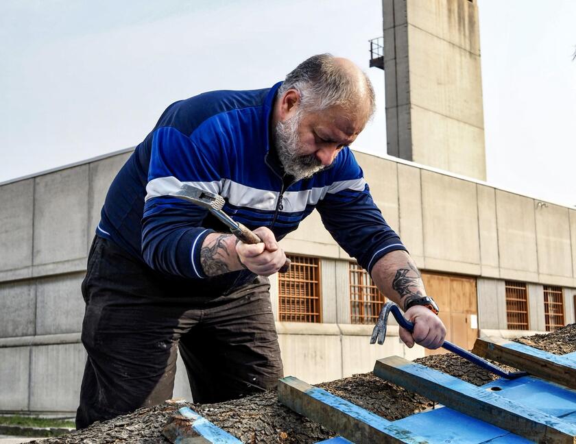 Andrea, un interno de la cárcel desmonta uno de los barcos de madera para construir instrumentos (ANSA)