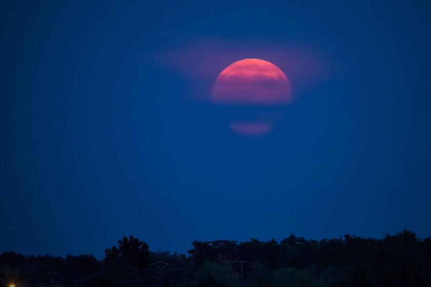 La luna llena de Esturión