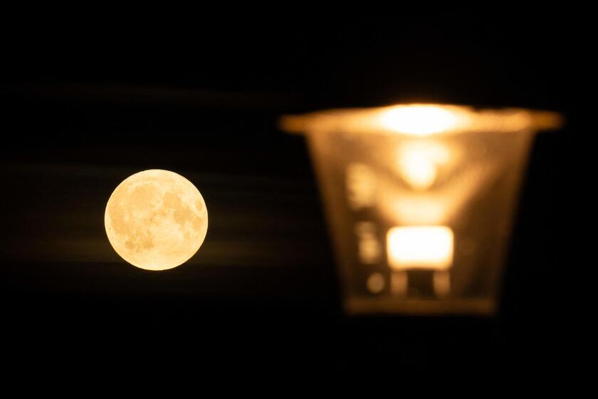 La luna llena de Esturión