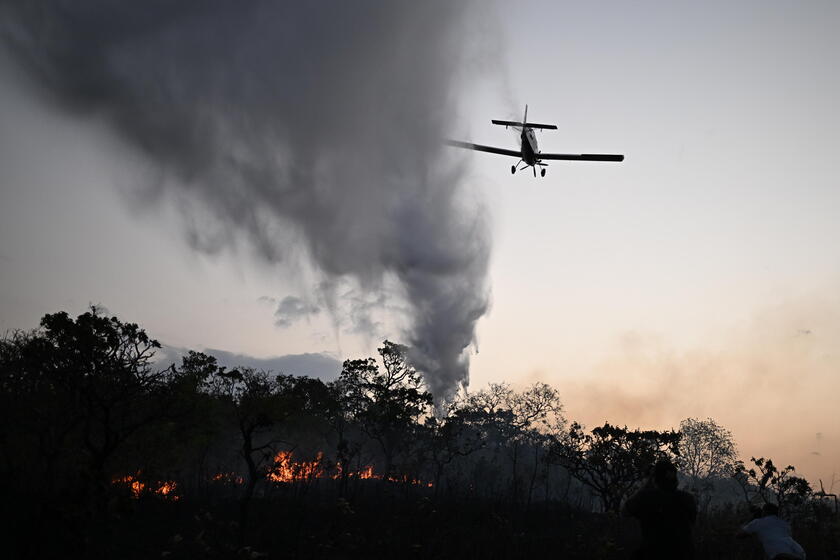 Un avión hidrante colabora para mitigar el fuego la reserva Contagem en Brasil