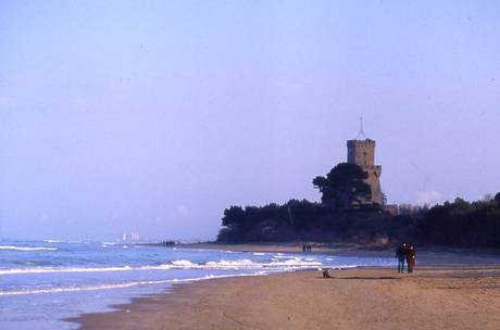 PINETO (TERAMO): PARCO MARINO TORRE CERRANO