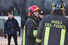 Cinque cuccioli cane morti in incendio