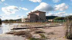 Sentina terra di agricoltura di qualità