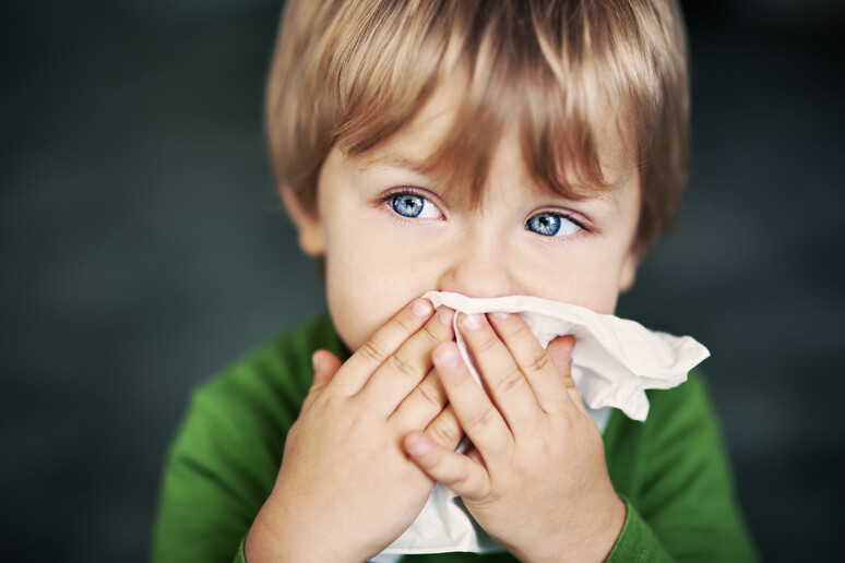 Cambiamento climatico aumenta allergie, più a rischio i bambini - RIPRODUZIONE RISERVATA