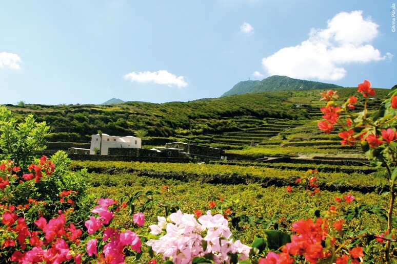 Khamma e Montagna grande a Pantelleria - RIPRODUZIONE RISERVATA