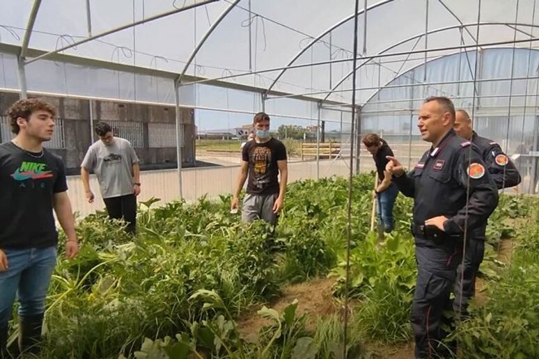 Carabinieri:Napoli;al via progetto didattico in biodiversità - RIPRODUZIONE RISERVATA