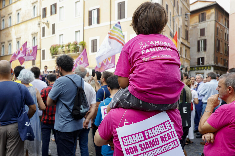 Manifestação contra criminalização da barriga de aluguel - TODOS OS DIREITOS RESERVADOS