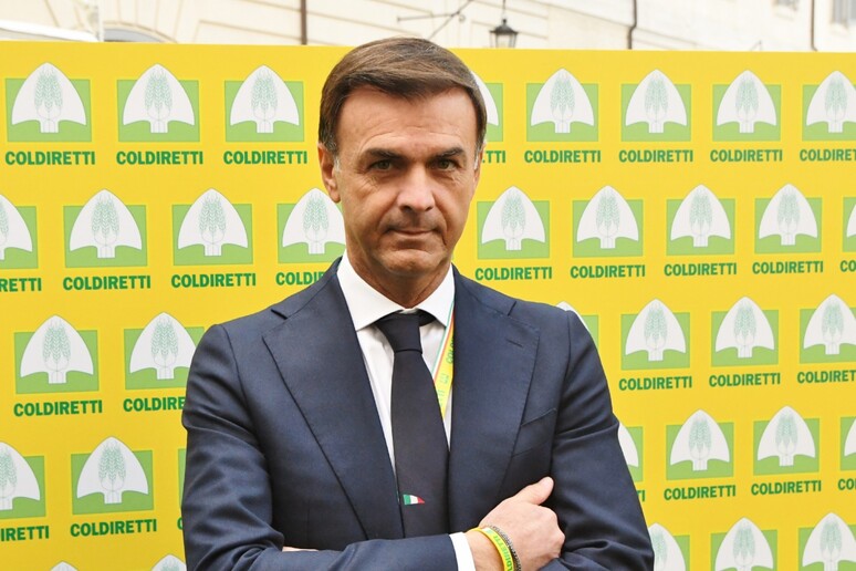 Coldiretti, Ettore Prandini confermato presidente nazionale -     RIPRODUZIONE RISERVATA