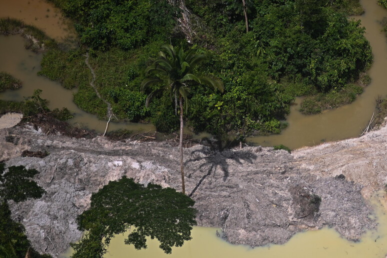 Área desmatada por mineração ilegal em Altamira, na Amazônia brasileira - TODOS OS DIREITOS RESERVADOS