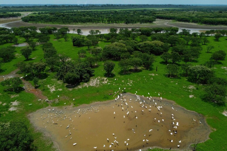 Reserva Lago do Piranha, na Amazônia © ANSA/AFP