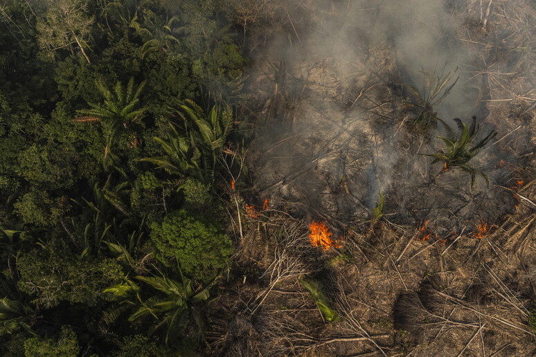 Devastação provocada por incêndio na Floresta Amazônia, em foto de arquivo © ANSA/EPA