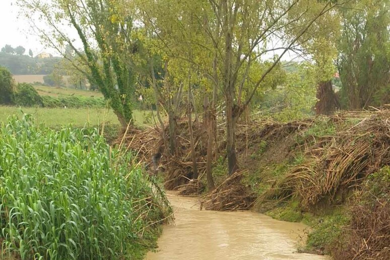 - RIPRODUZIONE RISERVATA