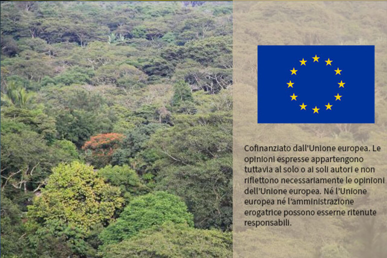 Dall 'Eurocamera sì al rinvio alla legge sulla deforestazione ma con modifiche - RIPRODUZIONE RISERVATA