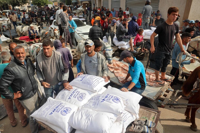 Distribuição de sacos de farinha pela Unrwa em Deir el-Balah, na Faixa de Gaza © ANSA/AFP