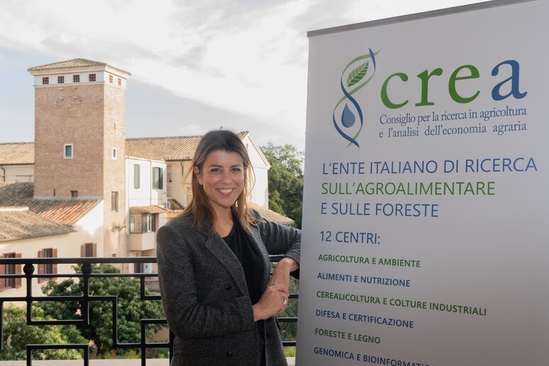 Crea, Maria Chiara Zaganelli è il nuovo direttore generale - RIPRODUZIONE RISERVATA