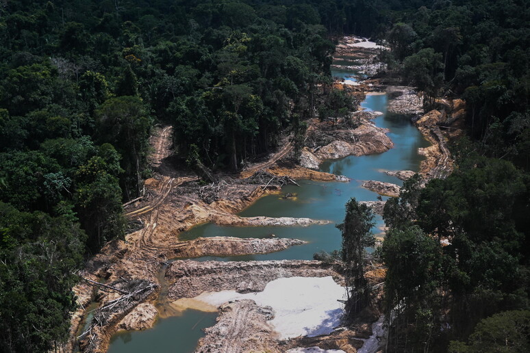 Área desmatada por garimpo ilegal na Amazônia brasileira - TODOS OS DIREITOS RESERVADOS