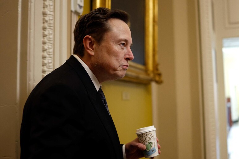 Fortuna de Musk aumentou 66% desde que Trump foi eleito nos EUA © ANSA/Getty Images via AFP