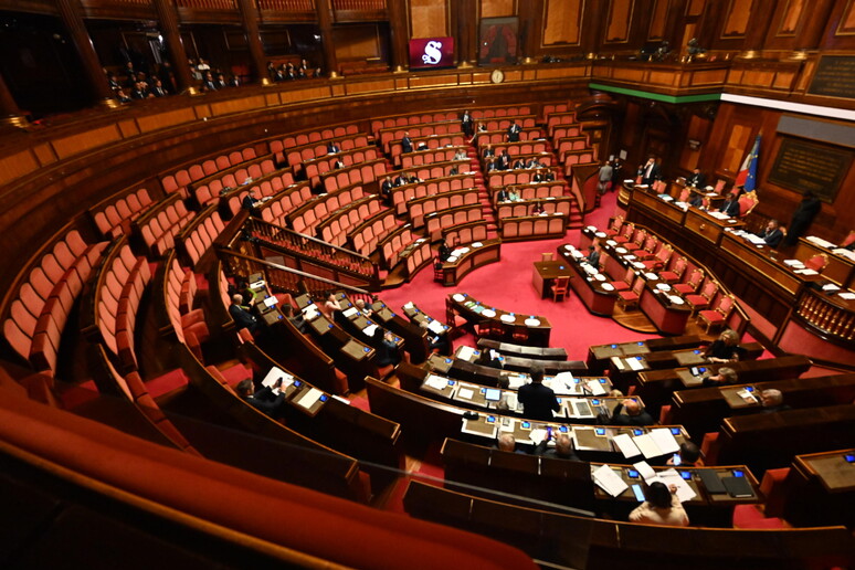 Senato: al via in Aula l 'esame del Def - RIPRODUZIONE RISERVATA