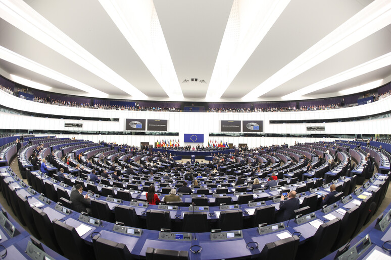 Nel futuro Parlamento europeo oltre 50 deputati tra i nuovi partiti - RIPRODUZIONE RISERVATA