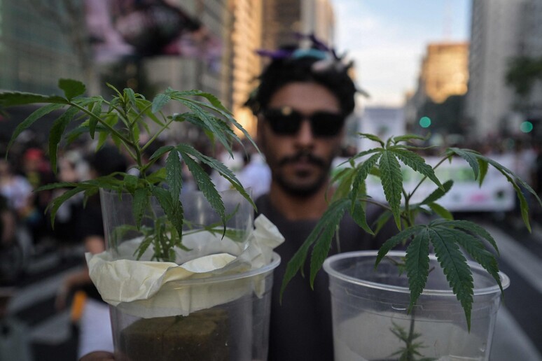 Marcha da Maconha em São Paulo © ANSA/AFP