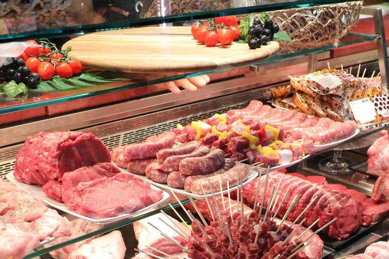 99 mil toneladas de carne do Mercosul devem entrar na UE, segundo Slow Food Itália - TODOS OS DIREITOS RESERVADOS