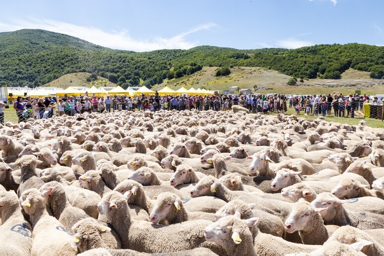 - RIPRODUZIONE RISERVATA