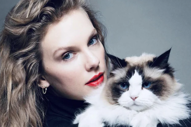 Taylor Swift se definiu como  'dona de gato sem filhos ' © ANSA/Re