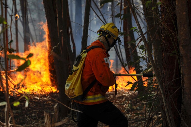 Combate a incêndio florestal nos arredores de Brasília © ANSA/AFP