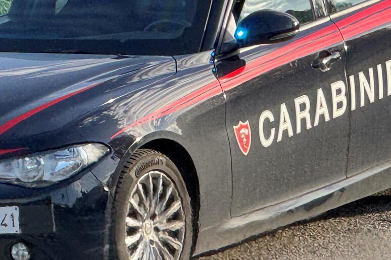 Un 'auto dei carabinieri - RIPRODUZIONE RISERVATA